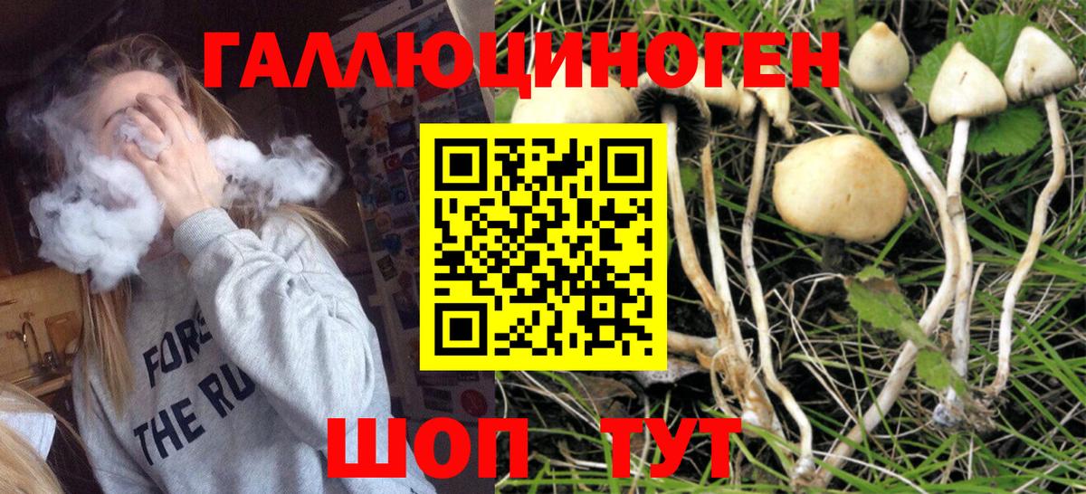 Псилоцибиновые грибы прущие грибы Советск