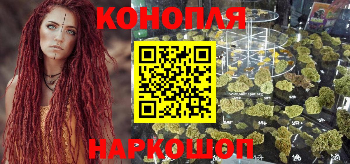 Бошки марихуана сатива Советск
